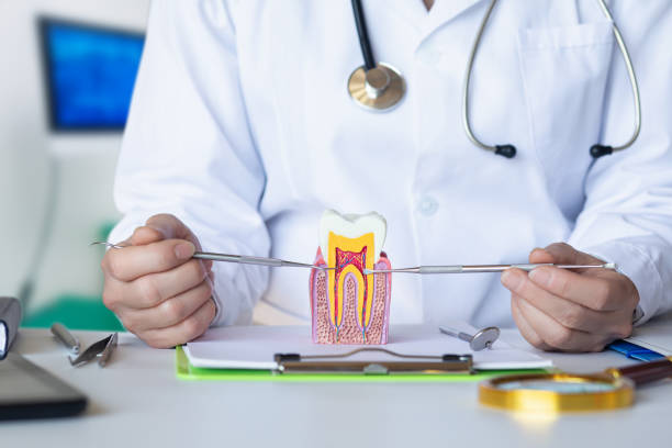 Best Emergency Root Canal Treatment in St Albans, WV